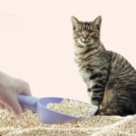 Pá para Areia de Gato com Suporte – Limpeza Fácil da Caixa de Areia - Image 9