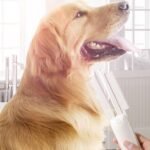 Escova Removedora de Pelo para Cão e Gato – Pente de Massagem e Tosquia - Image 10