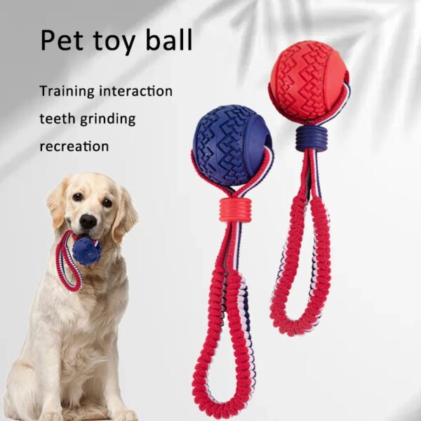 Bola Interativa com Corda para Cão – Brinquedo de Morder e Treino