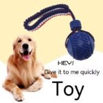 Bola Interativa com Corda para Cão – Brinquedo de Morder e Treino - Image 6