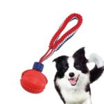 Bola Interativa com Corda para Cão – Brinquedo de Morder e Treino - Image 9