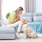 Bola Interativa com Corda para Cão – Brinquedo de Morder e Treino - Image 5